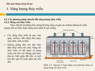  Các dòng thủy triều đi qua, làm
quay turbine, dẫn động làm quay
máy phát, sinh ra điện.
 Không giống như các nhà máy
điện thuỷ triều nêu trên, hàng rào
thuỷ triều có thể được sử dụng
trong các lưu vực không giới hạn,
như eo biển giữa đất liền và một
hòn đảo gần kề hoặc giữa hai hòn
đảo.
4.2. Các phương pháp chuyển đổi năng lượng thủy triều
4.2.2. Hàng rào thủy triều
Thực chất đó là những bức tường bê tông rỗng có gắn các turbine khổng lồ, chắn
ngang một eo biển, buộc dòng nước phải đi qua chúng.
Hình 4.3. Nguyên lý hoạt động của phương pháp sử
dụng hàng rào thủy triều
4. Năng lượng thủy triều
Tiểu luận Năng lượng tái tạo
37
 