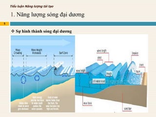 1. Năng lượng sóng đại dương
5
Tiểu luận Năng lượng tái tạo
 Sự hình thành sóng đại dương
 