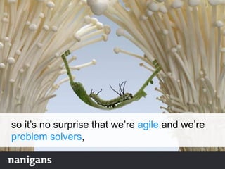 so it‟s no surprise that we‟re agile and we‟re
problem solvers,
 