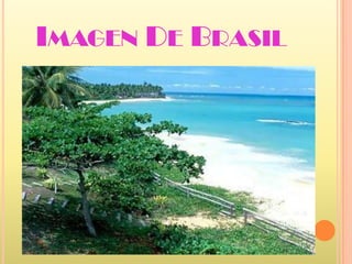 Imagen De Brasil