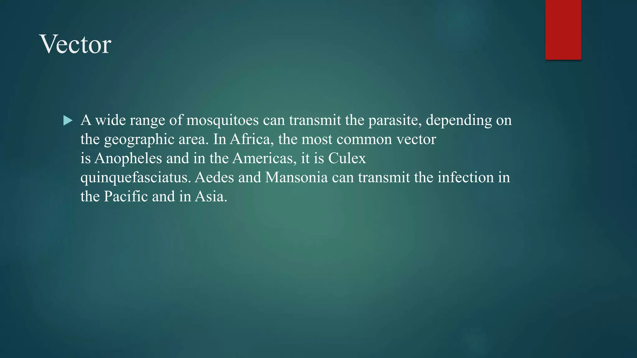 Vector
A wide range of mosquitoes can transmit the parasite, depending on
the geographic area. In Africa, the most common vector
is Anopheles and in the Americas, it is Culex
quinquefasciatus. Aedes and Mansonia can transmit the infection in
the Pacific and in Asia.