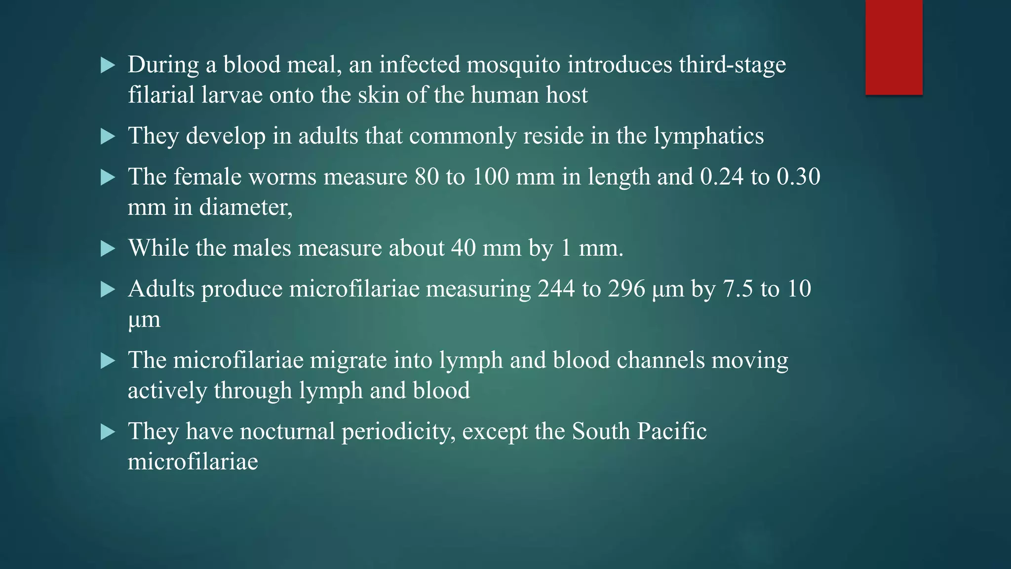  During a blood meal, an infected mosquito introduces third-stage
filarial larvae onto the skin of the human host
They develop in adults that commonly reside in the lymphatics
The female worms measure 80 to 100 mm in length and 0.24 to 0.30
mm in diameter,
While the males measure about 40 mm by 1 mm.
Adults produce microfilariae measuring 244 to 296 μm by 7.5 to 10
μm
The microfilariae migrate into lymph and blood channels moving
actively through lymph and blood
They have nocturnal periodicity, except the South Pacific
microfilariae