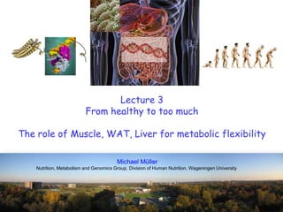 Lecture 3
From healthy to too much
The role of Muscle, WAT, Liver for metabolic flexibility
Michael Müller
Nutrition, Metabolism and Genomics Group, Division of Human Nutrition, Wageningen University
 