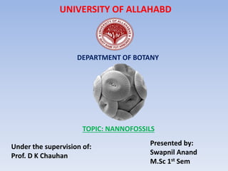 UNIVERSITY OF ALLAHABD
DEPARTMENT OF BOTANY
TOPIC: NANNOFOSSILS
Under the supervision of:
Prof. D K Chauhan
Presented by:
Swapnil Anand
M.Sc 1st Sem
 