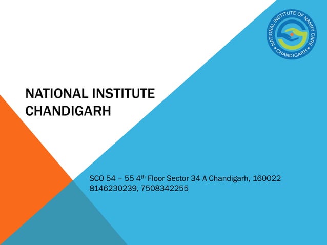 Nanny course syllabus PPT Nanny course syllabus PPT