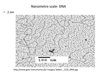 Nanometre scale- DNA
• 2 nm
http://www.gala-instrumente.de/ images/ deben _ CCD_DNA.jpg
 