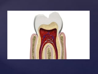 Tooth Structure Nano Nano technology in dentistry | PPTX