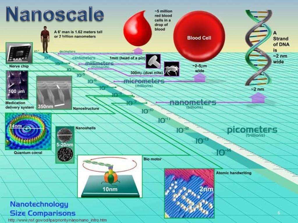 Application Of Nanotechnology In Agriculture With Special Reference T 