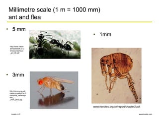 nano mm.ppt