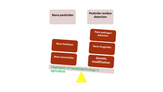 Nano-Biotechnology | PPTX