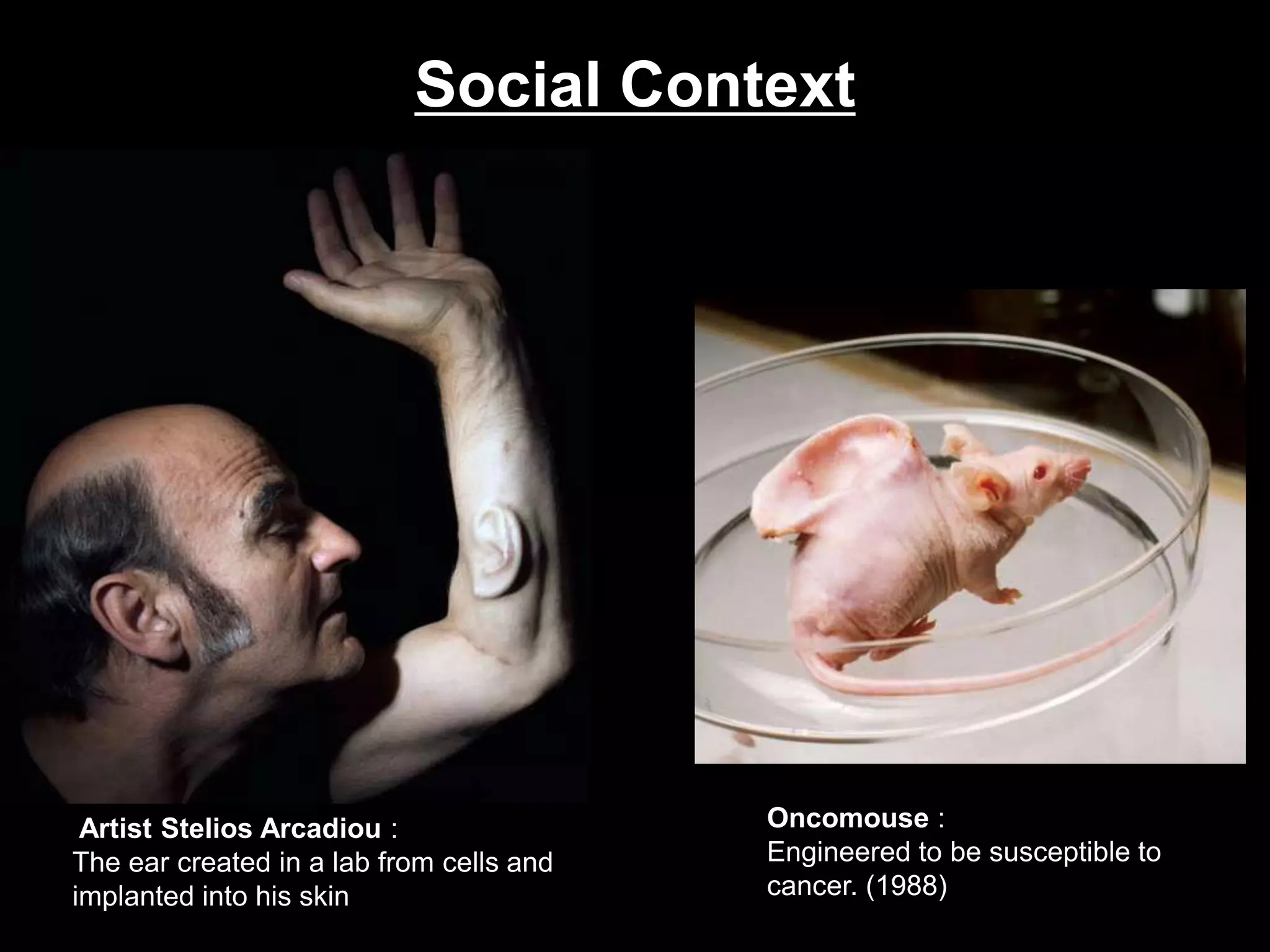         Replacement of ear, heart, bladder even a human embryo