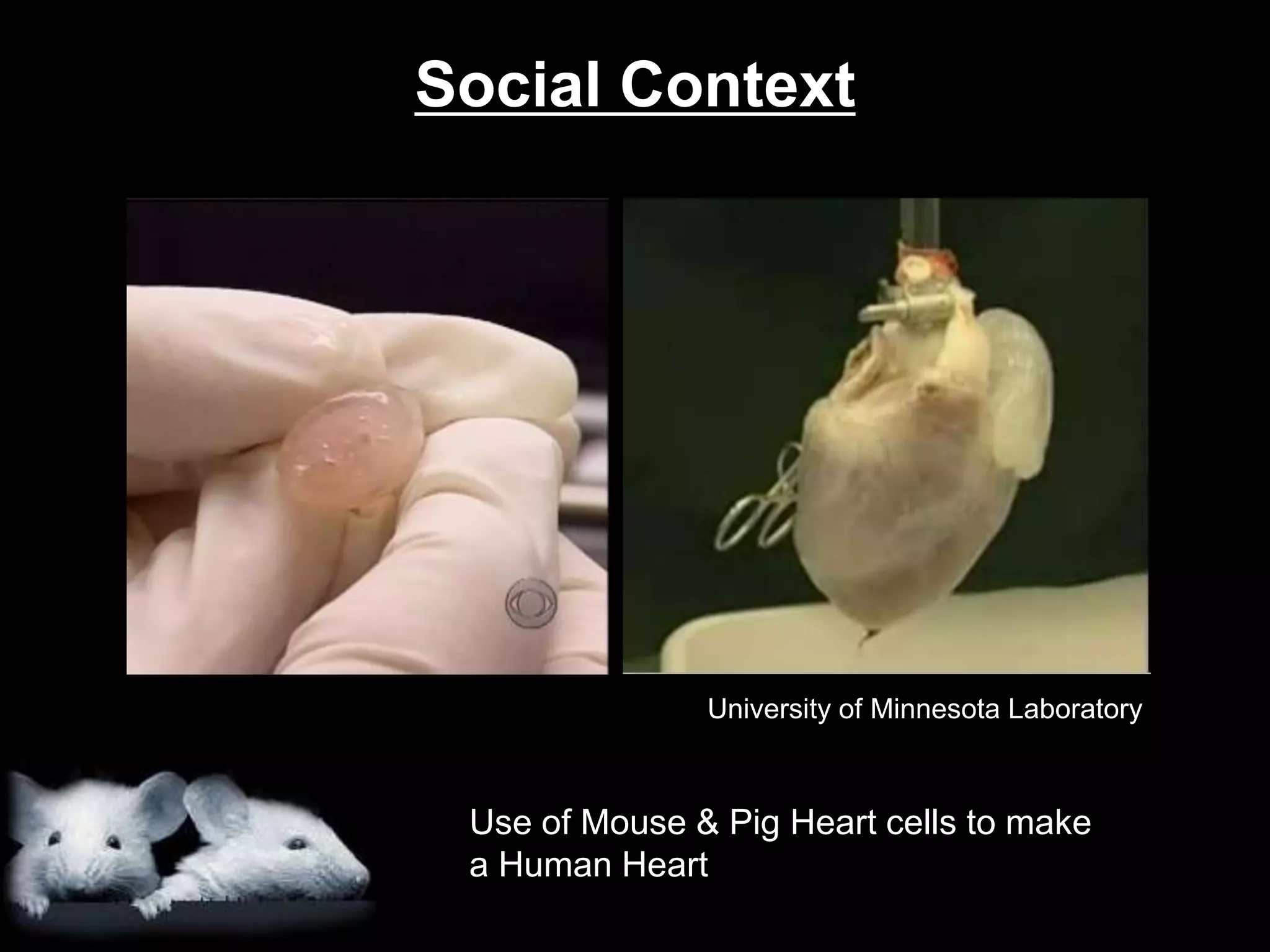         Wearable awareness; personal observation on one’s own temptationTemptation : Essence of consciousness-being awareness of choice