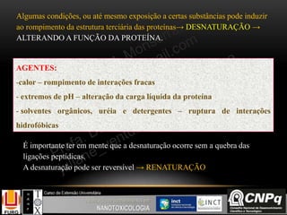Algumas condições, ou até mesmo exposição a certas substâncias pode induzir
ao rompimento da estrutura terciária das proteínas→ DESNATURAÇÃO →
ALTERANDO A FUNÇÃO DA PROTEÍNA.
AGENTES:
-calor – rompimento de interações fracas
- extremos de pH – alteração da carga líquida da proteína
- solventes orgânicos, uréia e detergentes – ruptura de interações
hidrofóbicas
É importante ter em mente que a desnaturação ocorre sem a quebra das
ligações peptídicas.
A desnaturação pode ser reversível → RENATURAÇÃO
 