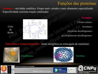 Funções das proteínas
Enzimas – atividade catalítica. Grupo mais variado e mais altamente especializado.
Especificidade (enzima-reação catalisada)
Ciclo
de
Krebs
Exemplos:
Citrato sintase -
Aconitase -
Isocitrato desidrogenase -
-cetoglutarato desidrogenase -
Nutrientes e Armazenamento : fonte energética ou estocagem de nutrientes
Ovoalbumina Ferritina
 
