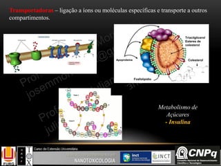 Metabolismo de
Açúcares
- Insulina
Transportadoras – ligação a íons ou moléculas específicas e transporte a outros
compartimentos.
Apoproteína
Fosfolípidio
Colesterol
Triacilglicerol
Esteres de
colesterol
 