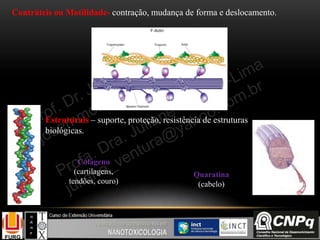 Contráteis ou Motilidade- contração, mudança de forma e deslocamento.
Colágeno
(cartilagens,
tendões, couro)
Estruturais – suporte, proteção, resistência de estruturas
biológicas.
Quaratina
(cabelo)
 