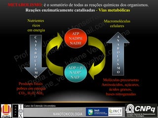 METABOLISMO: é o somatório de todas as reações químicas dos organismos.
Reações enzimaticamente catalisadas - Vias metabólicas.
Nutrientes
ricos
em energia
Macromoléculas
celulares
C
A
T
A
B
O
L
I
S
M
O
A
N
A
B
O
L
I
S
M
O
Produtos finais
pobres em energia
CO2, H2O, NH3
Moléculas precursoras
Aminoácidos, açúcares,
ácidos graxos,
bases nitrogenadas
ATP
NADPH
NADH
ADP + Pi
NADP+
NAD+
 