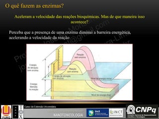 O quê fazem as enzimas?
Perceba que a presença de uma enzima diminui a barreira energética,
acelerando a velocidade da reação
Aceleram a velocidade das reações bioquímicas. Mas de que maneira isso
acontece?
 