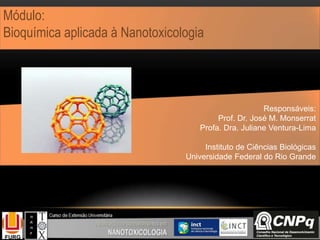 Módulo:
Bioquímica aplicada à Nanotoxicologia
Responsáveis:
Prof. Dr. José M. Monserrat
Profa. Dra. Juliane Ventura-Lima
Instituto de Ciências Biológicas
Universidade Federal do Rio Grande
 