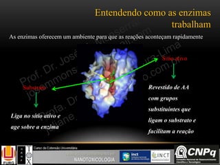 Entendendo como as enzimas
trabalham
As enzimas oferecem um ambiente para que as reações aconteçam rapidamente
Sítio ativo
Revestido de AA
com grupos
substituíntes que
ligam o substrato e
facilitam a reação
Substrato
Liga no sítio ativo e
age sobre a enzima
 