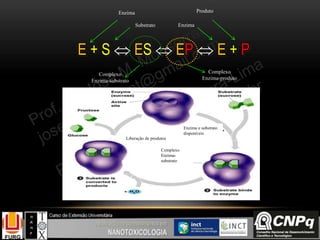 E + S  ES  EP  E + P
Enzima
Substrato
Complexo
Enzima-substrato
Complexo
Enzima-produto
Produto
Enzima
Enzima e substrato
disponíveis
Complexo
Enzima-
substrato
Liberação de produtos
 