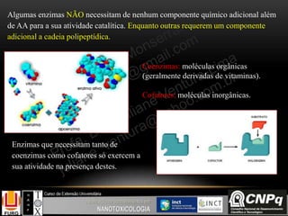 Algumas enzimas NÃO necessitam de nenhum componente químico adicional além
de AA para a sua atividade catalítica. Enquanto outras requerem um componente
adicional a cadeia polipeptídica.
Coenzimas: moléculas orgânicas
(geralmente derivadas de vitaminas).
Cofatores: moléculas inorgânicas.
Enzimas que necessitam tanto de
coenzimas como cofatores só exercem a
sua atividade na presença destes.
 