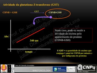 Atividade da glutationa S-transferase (GST)
U GST = a quantidade de enzima que
conjuga 1 mol de CDNB por minuto e
por miligrama de proteína
Abs
tempo
340 nm
CDNB + GSH CDNB-GSHGST
Neste caso, pode-se medir a
atividade da enzima pelo
aparecimento do produto
(CDNB-GSH)
 