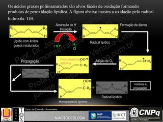 Os ácidos graxos poliinsaturados são alvos fáceis de oxidação formando
produtos de peroxidação lipídica. A figura abaixo mostra a oxidação pelo radical
hidroxila
.OH.
R2R1
H H HH
R1 R2
.
Lipídio com ácidos
graxos insaturados HO.
Radical lipídico
H2
O
Abstração de H
Iniciação
Formação de dienos
R1
H
CHR2
.Adição de O2
.
H
R1 C-R2
|
OOPeroxiradical
lipídico
HH
R3 R4
Propagação
OOH
|
C-R2
R1
H
Hidroperóxido lipídico
+ R4R3
H H
.
Radical lipídico
Continua a
propagação
 