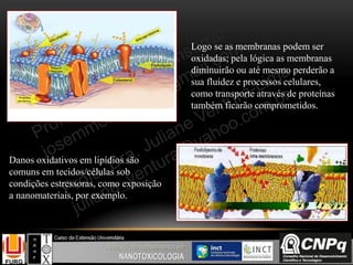 Logo se as membranas podem ser
oxidadas; pela lógica as membranas
diminuirão ou até mesmo perderão a
sua fluidez e processos celulares,
como transporte através de proteínas
também ficarão comprometidos.
Danos oxidativos em lipídios são
comuns em tecidos/células sob
condições estressoras, como exposição
a nanomateriais, por exemplo.
 