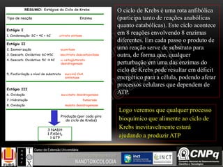 RESUMO: Estágios do Ciclo de Krebs
Tipo de reação Enzima
Estágio I
1. Condensação: 2C + 4C = 6C citrato sintase
Estágio II
2. Isomerização aconitase
3. Descarb. Oxidativa: 6C5C isocitrato descarboxilase
4. Descarb. Oxidativa: 5C  4C -cetoglutarato
desidrogenase
5. Fosforilação a nível de substrato succinil CoA
sintetase
Estágio III
6. Oxidação succinato desidrogenase
7. Hidratação fumarase
8. Oxidação malato desidrogenase
Produção (por cada giro
do ciclo de Krebs)
3 NADH
1 FADH2
1 GTP
RESUMO: Estágios do Ciclo de Krebs
Tipo de reação Enzima
Estágio I
1. Condensação: 2C + 4C = 6C citrato sintase
Estágio II
2. Isomerização aconitase
3. Descarb. Oxidativa: 6C5C isocitrato descarboxilase
4. Descarb. Oxidativa: 5C  4C -cetoglutarato
desidrogenase
5. Fosforilação a nível de substrato succinil CoA
sintetase
Estágio III
6. Oxidação succinato desidrogenase
7. Hidratação fumarase
8. Oxidação malato desidrogenase
Produção (por cada giro
do ciclo de Krebs)
3 NADH
1 FADH2
1 GTP
Logo veremos que qualquer processo
bioquímico que alimente ao ciclo de
Krebs inevitavelmente estará
ajudando a produzir ATP
O ciclo de Krebs é uma rota anfibólica
(participa tanto de reações anabólicas
quanto catabólicas). Este ciclo acontece
em 8 reações envolvendo 8 enzimas
diferentes. Em cada passo o produto de
uma reação serve de substrato para
outra, de forma que, qualquer
perturbação em uma das enzimas do
ciclo de Krebs pode resultar em déficit
energético para a célula, podendo afetar
processos celulares que dependem de
ATP.
 