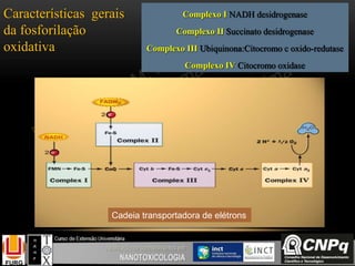 Complexo I NADH desidrogenase
Complexo II Succinato desidrogenase
Complexo III Ubiquinona:Citocromo c oxido-redutase
Complexo IV Citocromo oxidase
Características gerais
da fosforilação
oxidativa
Cadeia transportadora de elétrons
 