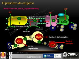 2H+
O
H
H
O
H+
H++
I
II
III
IV
Q
Matriz mitocondrial
Espaço intermembrana
e-
e-
Succinato
FumaratoNADH NAD+
4H+
e-
Cit c
e-
Redução do O2 em H2O (mitocôndria)
O
O2
.-
+
e-
O
O
H2O2
O2
.-
+
e-
O
O
e-
H+
H+
H2O2
O2
.-
+
e-
O
O
e-
H+
H+
H2O2
O2
.-
+
e-
O
O
e-
H+
H+
OH
HHO.
OH
H
e-
+H+
OH
Hânion
superóxido
Peróxido de hidrogênio
Radical
hidroxila
4H+
O paradoxo do oxigênio
 