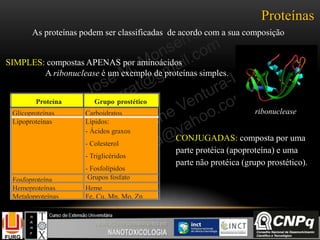 Proteínas
As proteínas podem ser classificadas de acordo com a sua composição
SIMPLES: compostas APENAS por aminoácidos
A ribonuclease é um exemplo de proteínas simples.
ribonuclease
CONJUGADAS: composta por uma
parte protéica (apoproteína) e uma
parte não protéica (grupo prostético).
Proteína Grupo prostético
Glicoproteínas Carboidratos
Lipoproteínas Lípidos:
- Ácidos graxos
- Colesterol
- Triglicéridos
- Fosfolípidos
Fosfoproteína Grupos fosfato
Hemeproteínas Heme
Metaloproteínas Fe, Cu, Mn, Mo, Zn
 