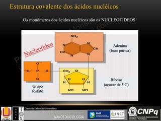 Estrutura covalente dos ácidos nucléicos
Adenina
(base púrica)
Ribose
(açucar de 5 C)Grupo
fosfato
Os monômeros dos ácidos nucléicos são os NUCLEOTÍDEOS
 