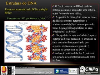 Estrutura do DNA
Estrutura secundária do DNA: a dupla
hélice
Proposta em 1953 por Watson e Crick
Açucar-fosfato
Bases pareadas
O DNA consiste de DUAS cadeias
polinucleotídicas; enroladas uma sobre a
outra formando uma hélice.
As pontes de hidrogênio entre as bases
de cadeias opostas determinam o
alinhamento da hélice; com os pares de
bases ficando perpedinculares ao eixo
longitudinal da hélice.
O esqueleto de açúcar-fosfato é a parte
externa da hélice (cargas ( -) extensão de
cada uma das fitas permitindo que
algumas moléculas carregadas (+ )
possam se complexar ao DNA).
A direção antiparalela das 2 cadeias é
um aspecto de complementaridade entre
as fitas.
 