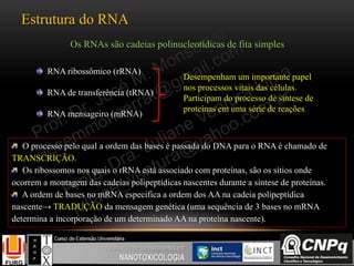 Estrutura do RNA
RNA ribossômico (rRNA)
RNA de transferência (tRNA)
RNA mensageiro (mRNA)
Desempenham um importante papel
nos processos vitais das células.
Participam do processo de síntese de
proteínas em uma série de reações
Os RNAs são cadeias polinucleotídicas de fita simples
O processo pelo qual a ordem das bases é passada do DNA para o RNA é chamado de
TRANSCRIÇÃO.
Os ribossomos nos quais o rRNA está associado com proteínas, são os sítios onde
ocorrem a montagem das cadeias polipeptídicas nascentes durante a síntese de proteínas.
A ordem de bases no mRNA especifica a ordem dos AA na cadeia polipeptídica
nascente→ TRADUÇÃO da mensagem genética (uma sequência de 3 bases no mRNA
determina a incorporação de um determinado AA na proteína nascente).
 