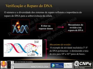 O número e a diversidade dos sistemas de reparo refletem a importância do
reparo do DNA para a sobrevivência da célula.
Evitar ou
reparar danos
Mecanismos de
revisão e/ou
reparo de DNA
Verificação e Reparo do DNA
Bases não
pareadas
3’  5’ Hidrólise
pela exonuclease
Mecanismo de revisão:
O exemplo da atividade nucleásica 3’-5’
da DNA polimerase  diminuindo a taxa
de erro para 109 a 1010 pares de bases.
 