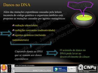Danos no DNA
Além das mutações espontâneas causadas pela leitura
incorreta do código genético o organismo também está
propenso as mutações causadas por agentes mutagênicos
radiação ultravioleta;
radiações ionizantes (radioatividade)
agentes químicos (incluindo
nanomateriais)
Causando danos ao DNA
que se somam aos danos
espontâneos
O acúmulo de danos no
DNA pode levar ao
desenvolvimento de câncer
 