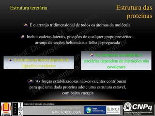 É o arranjo tridimensional de todos os átomos da molécula
Inclui: cadeias laterais, posições de qualquer grupo prostético,
arranjo de seções helicoidais e folha -pregueada
A estrutura primária depende de
ligações covalentes
As estruturas secundárias e
terciárias dependem de interações não
covalentes
As forças estabilizadoras não-covalentes contribuem
para que uma dada proteína adote uma estrutura estável,
com baixa energia
Estrutura das
proteínas
Estrutura terciária
 