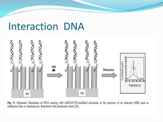 Interaction DNA
 