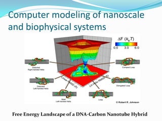 Computer modeling of nanoscale
and biophysical systems
Free Energy Landscape of a DNA-Carbon Nanotube Hybrid
 