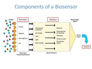 Components of a Biosensor
Detector
 