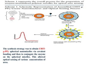 The synthesis strategy was to obtain CHIT-
g-PPy spherical nanomicelles via covalent
bonding and then to conjugate the enzyme
on the spherical micelles. This allowed
optical sensing of various concentration of
urea.
 