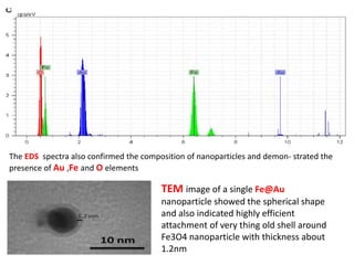 The EDS spectra also confirmed the composition of nanoparticles and demon- strated the
presence of Au ,Fe and O elements
TEM image of a single Fe@Au
nanoparticle showed the spherical shape
and also indicated highly efficient
attachment of very thing old shell around
Fe3O4 nanoparticle with thickness about
1.2nm
 