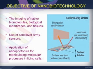 OBJECTIVE OF NANOBIOTECHNOLOGY

• The imaging of native
  biomolecules, biological
  membranes, and tissues.

• Use of cantilever array
  sensors.

• Application of
  nanophotonics for
  manipulating molecular
  processes in living cells.
 