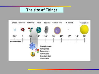 The size of Things

 