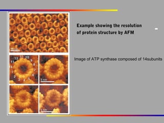 Example showing the resolution
of protein structure by AFM

Image of ATP synthase composed of 14subunits

 