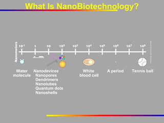What Is NanoBiotechnology?

Water Nanodevices
molecule Nanopores
Dendrimers
Nanotubes
Quantum dots
Nanoshells

White
blood cell

A period

Tennis ball

 