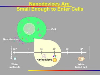 Nanodevices Are
Small Enough to Enter Cells

Cell

Nanodevices

Nanodevices
Water
molecule

White
blood cell

 
