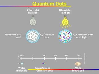Quantum Dots
Ultraviolet
light off

Quantum dot
bead

Water
molecule

Ultraviolet
light on

Quantum
dots

Nanodevices
Quantum dots

Quantum dots
emit light

White
blood cell

 